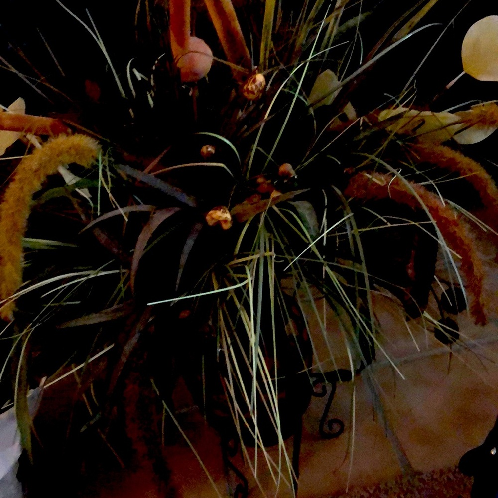 Plant with a different type  ornament with a 3/inches stain to stand own
